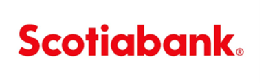 Page Logo