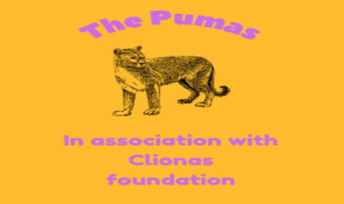 Page Logo