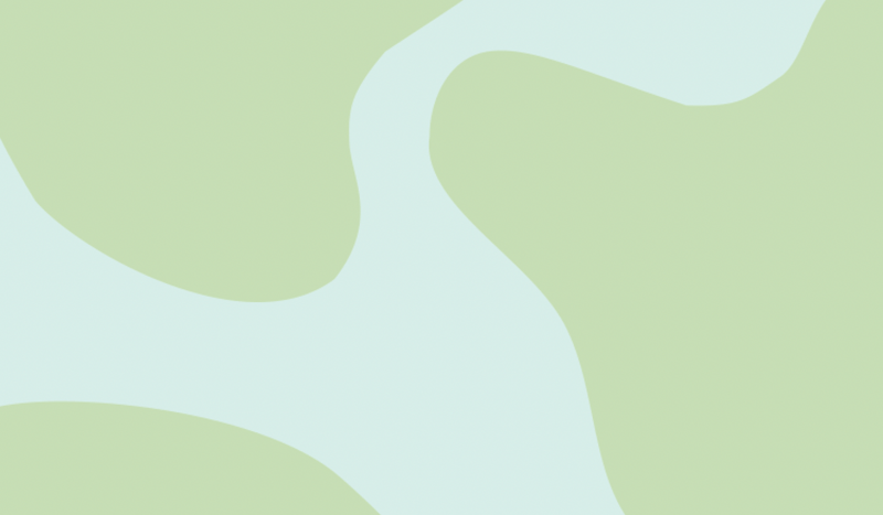 Page Banner