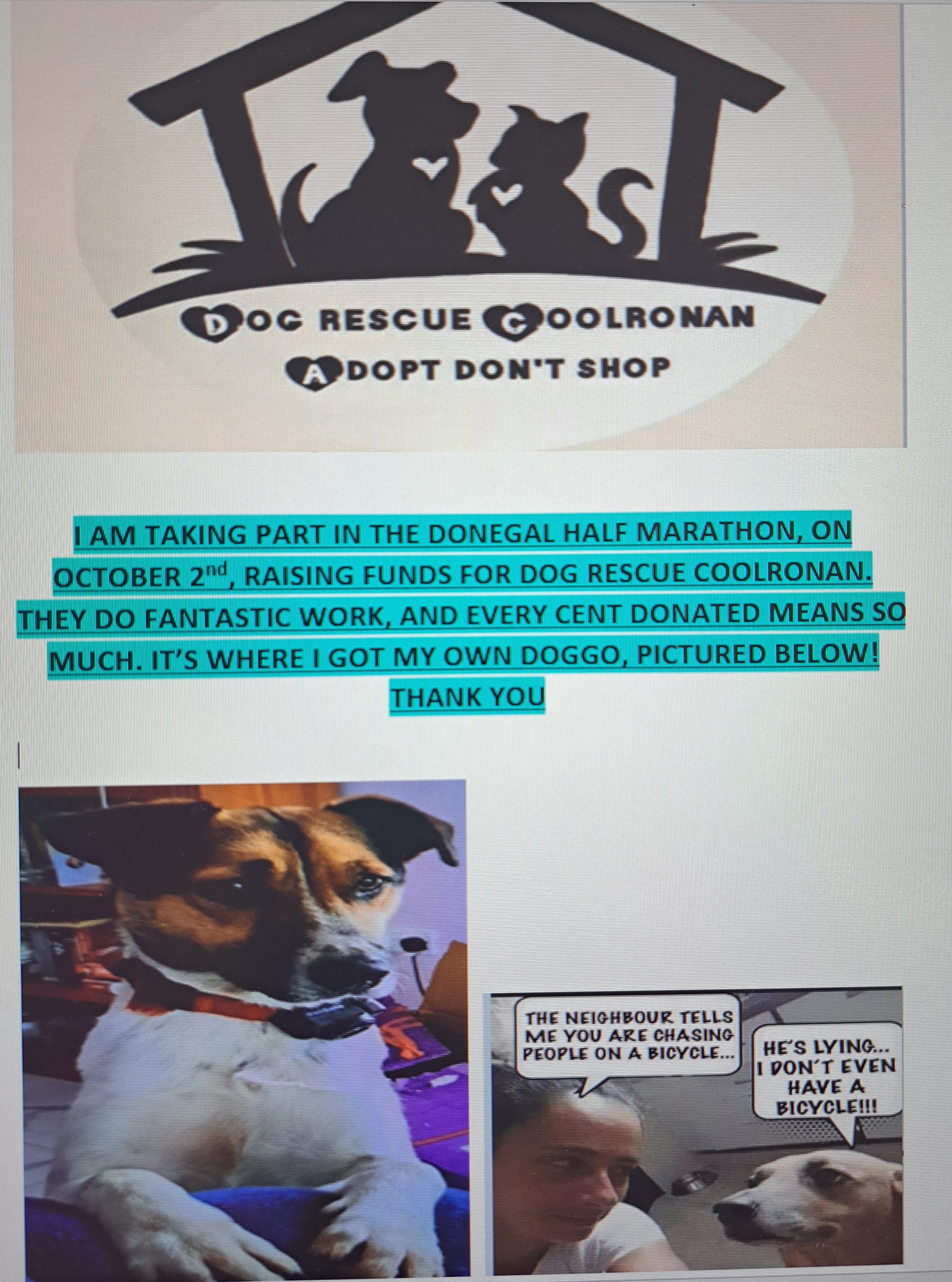 Page Banner