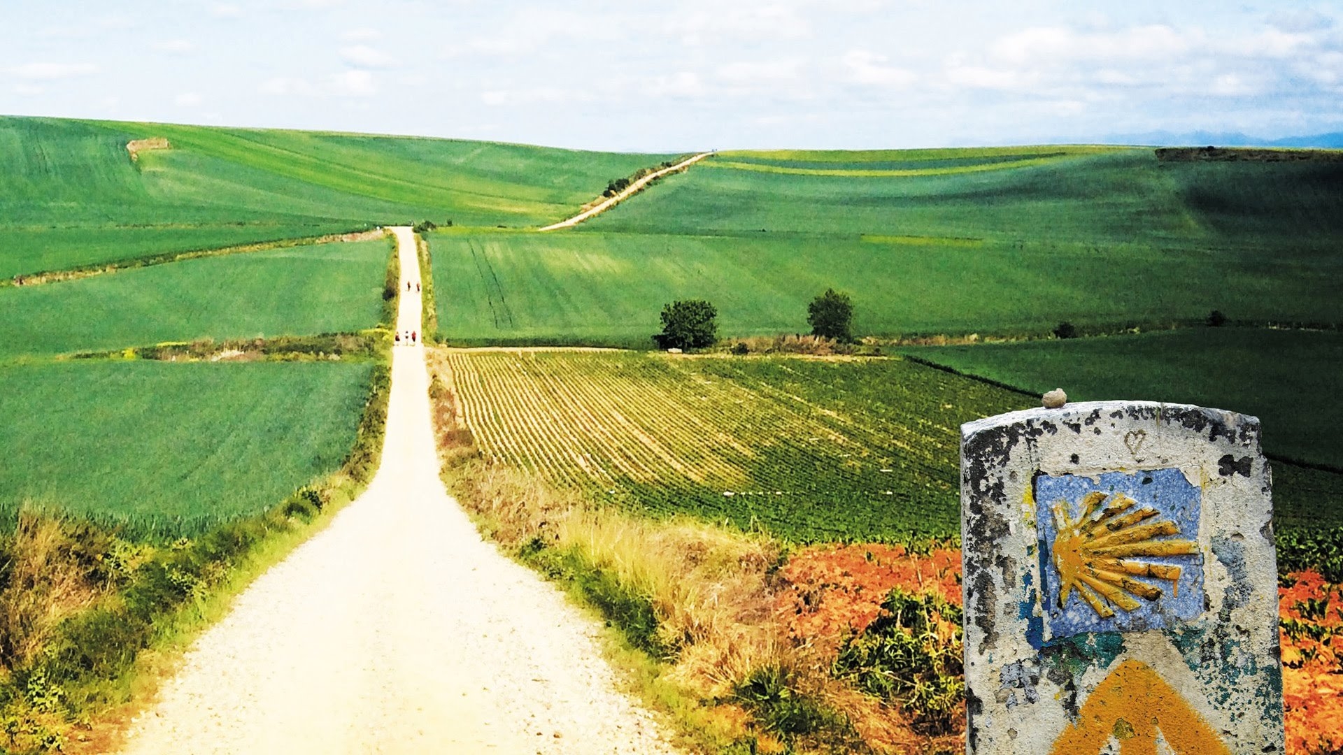 Page Banner