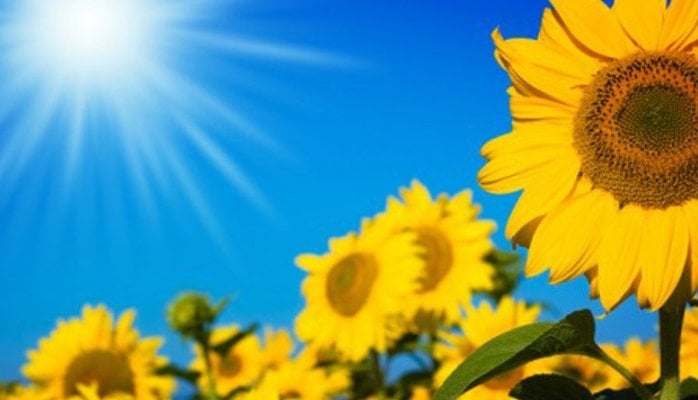 Page Banner