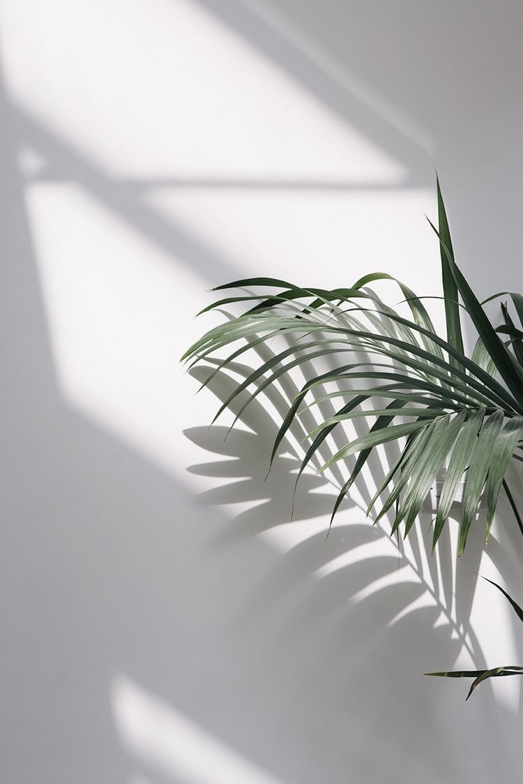 Page Banner