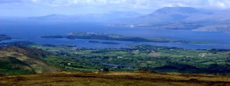 Page Banner