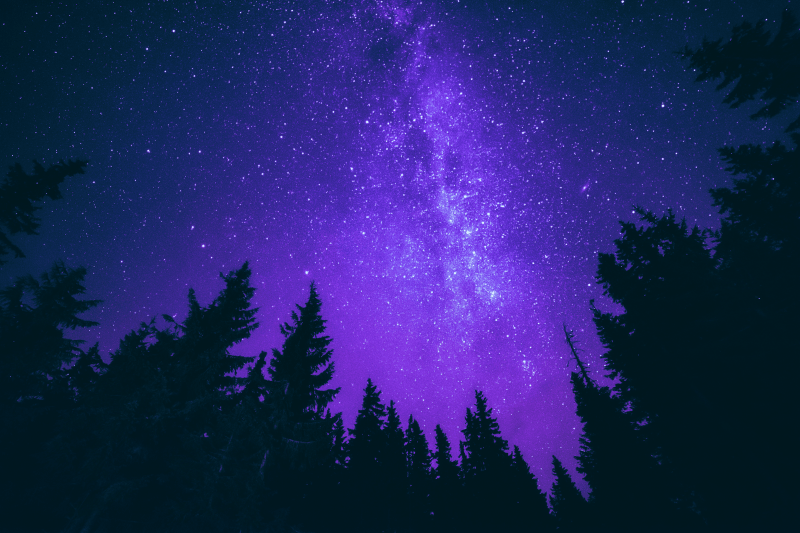 Page Banner