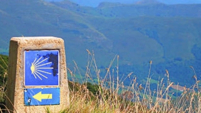 Page Banner