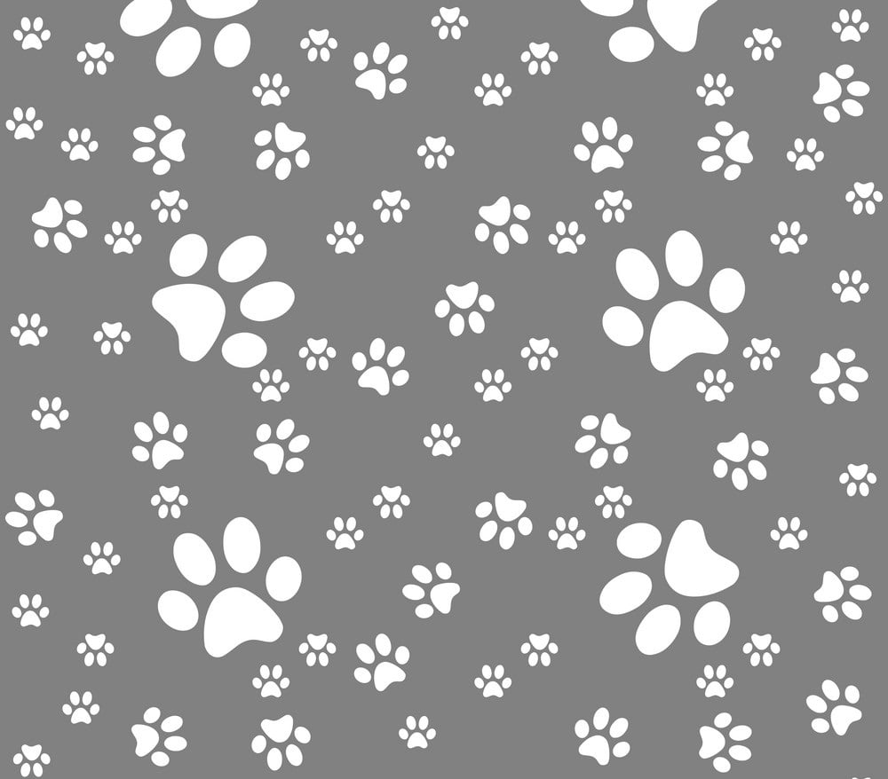 Page Banner