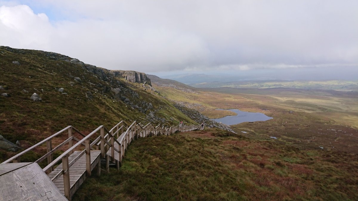 Page Banner