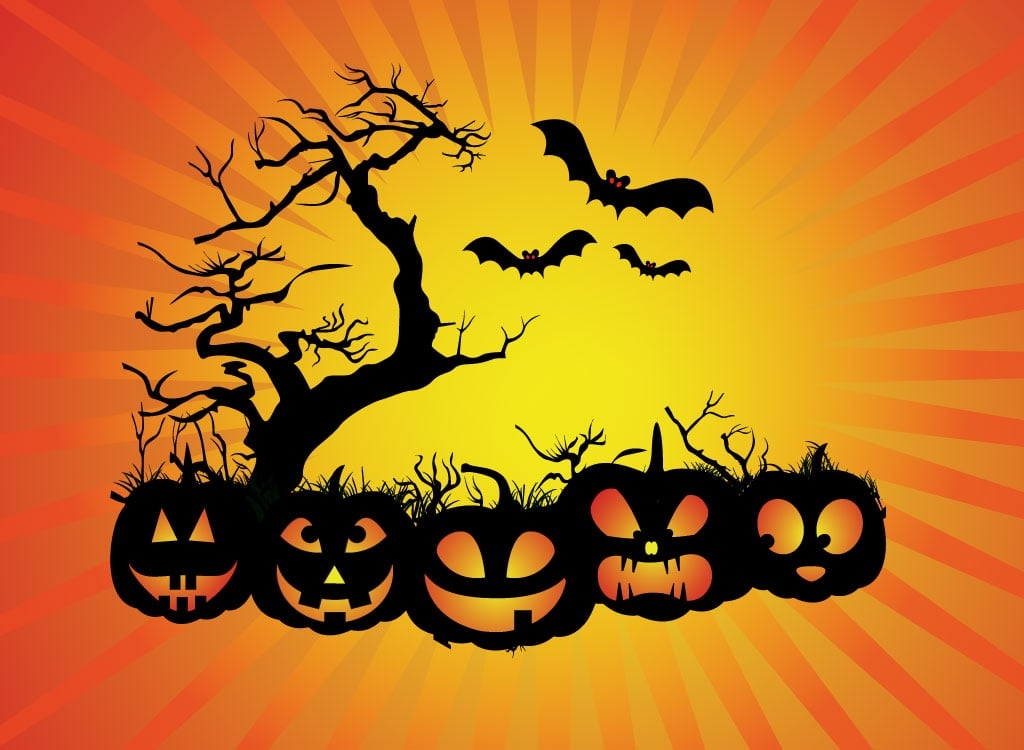 Page Banner