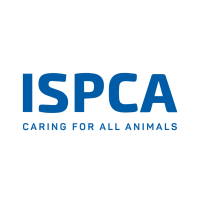 Page Logo