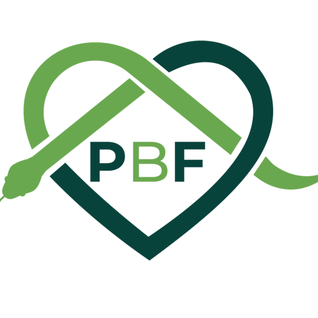 Page Logo