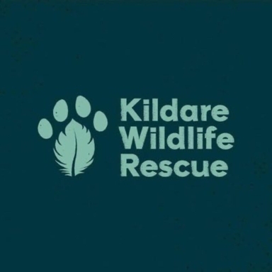 Page Logo