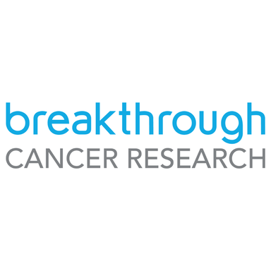 Page Logo