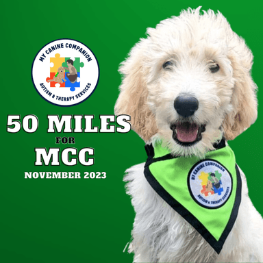 Page Logo