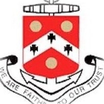 Page Logo