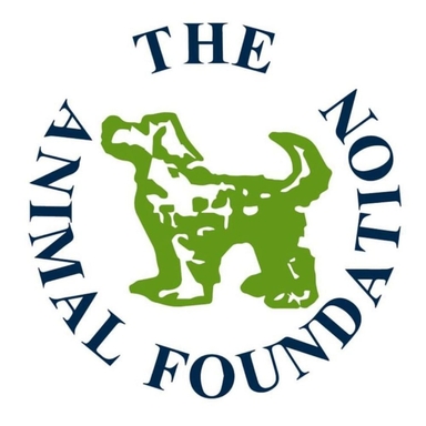Page Logo