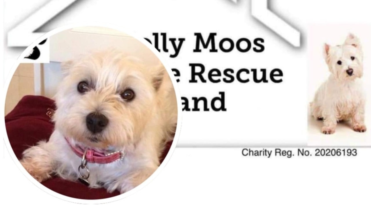 Page Banner