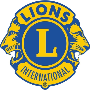 Page Logo