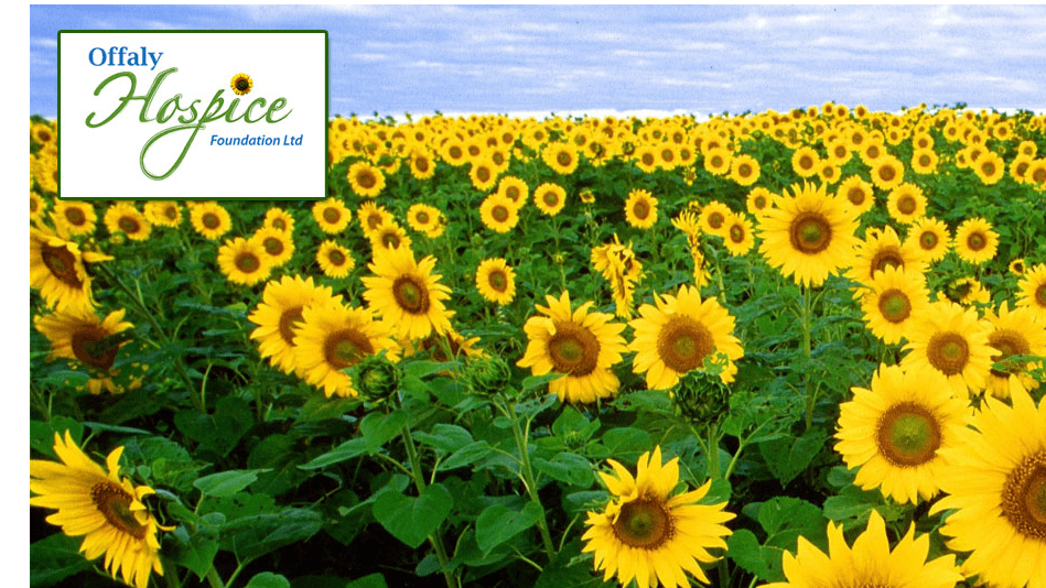 Page Banner