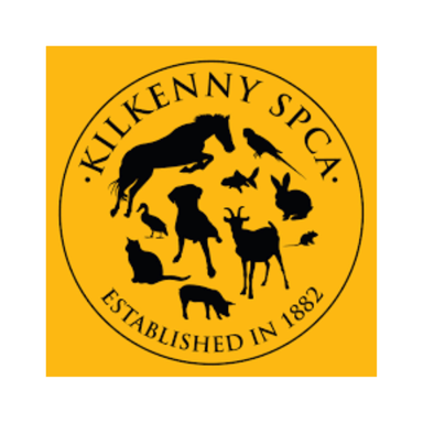 Page Logo