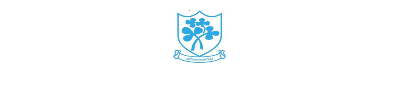 Team Banner