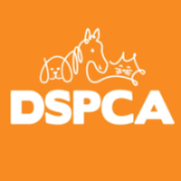 Page Logo