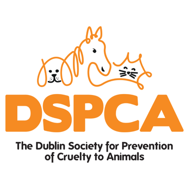 Page Logo