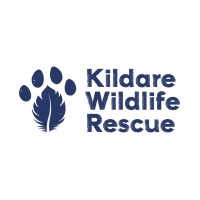 Page Logo