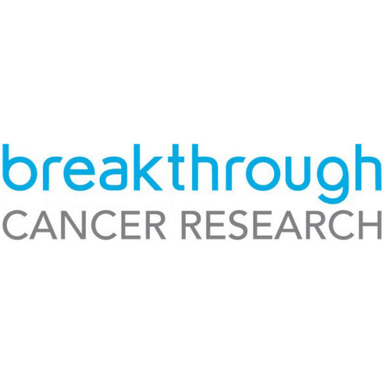 Page Logo