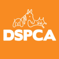 Page Logo