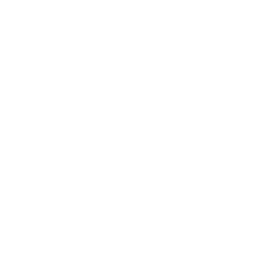 Page Logo