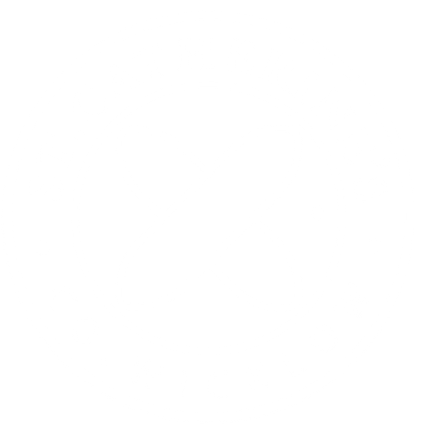 Page Logo