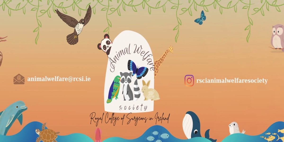 Page Banner