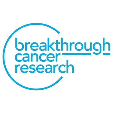 Page Logo
