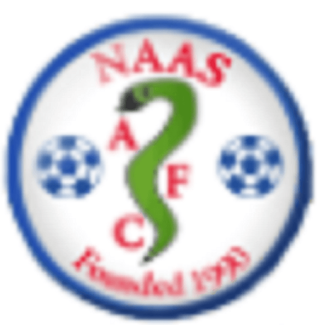 Page Logo