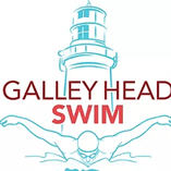 Page Logo