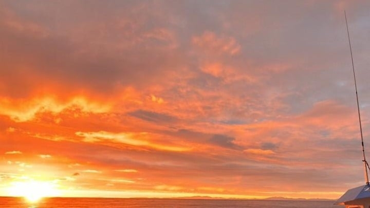 Page Banner