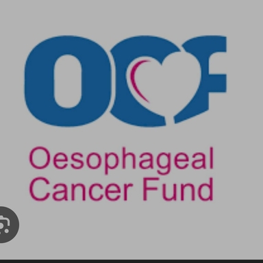Page Logo