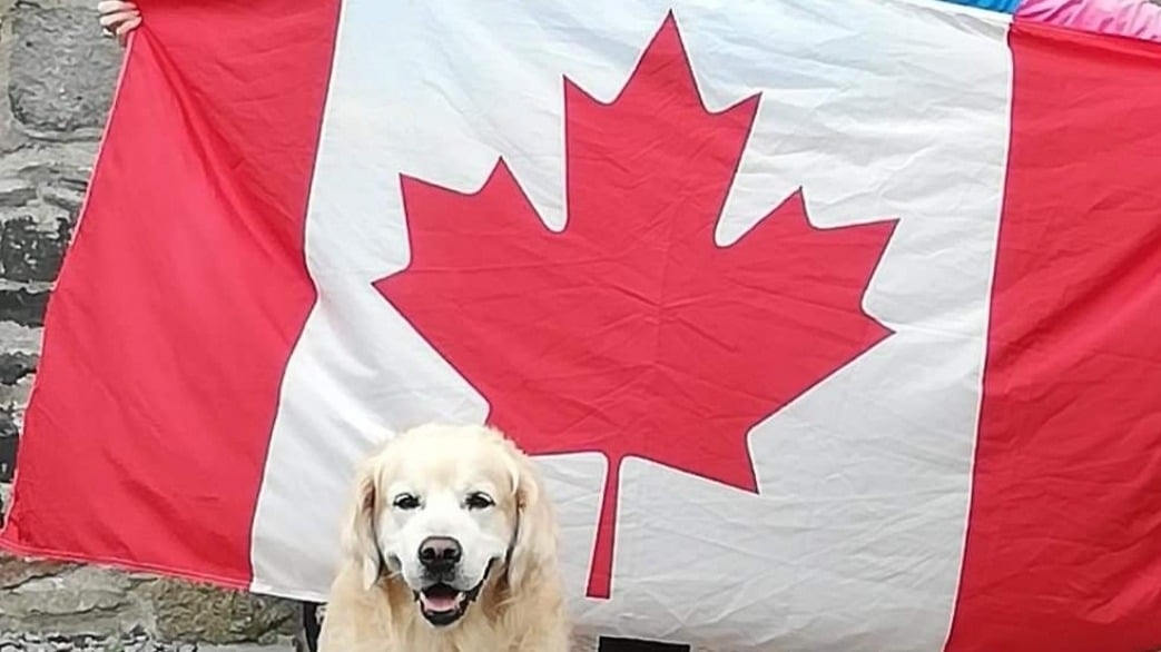 Page Banner