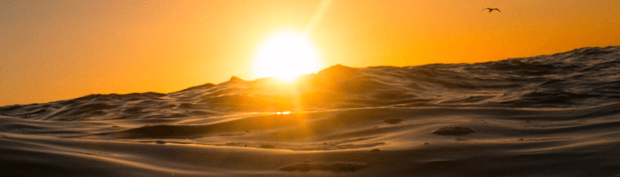 Page Banner