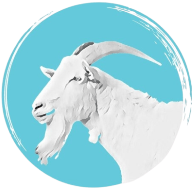 Page Logo