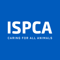 Page Logo