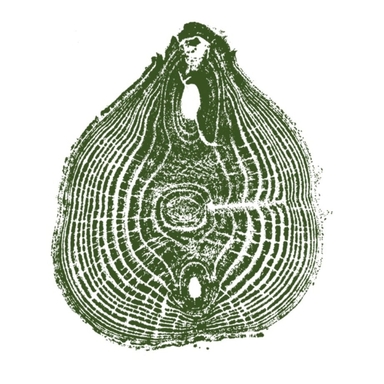 Page Logo