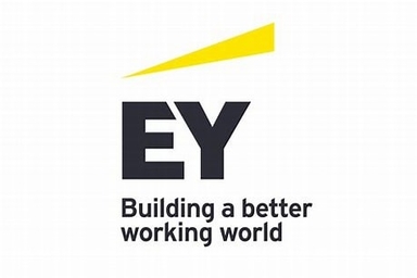 Page Logo