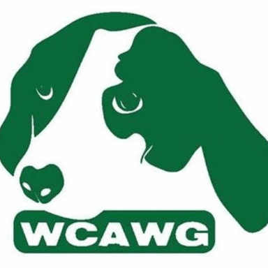 Page Logo