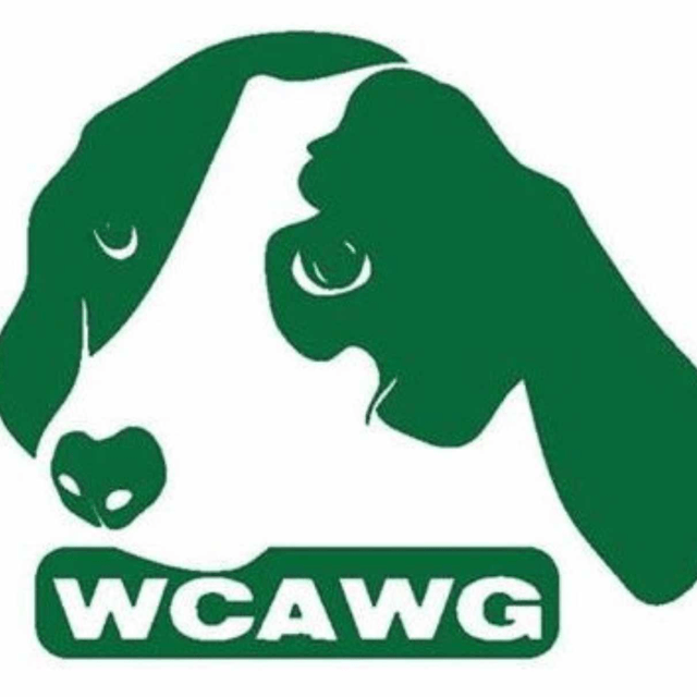 Page Logo
