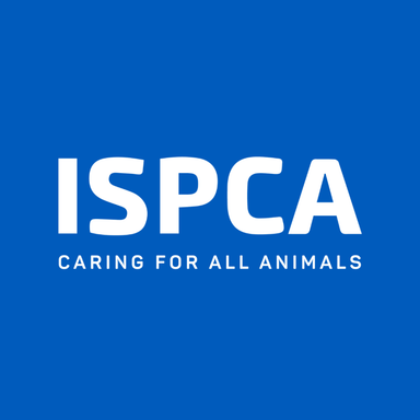 Page Logo
