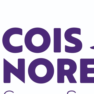 Page Logo