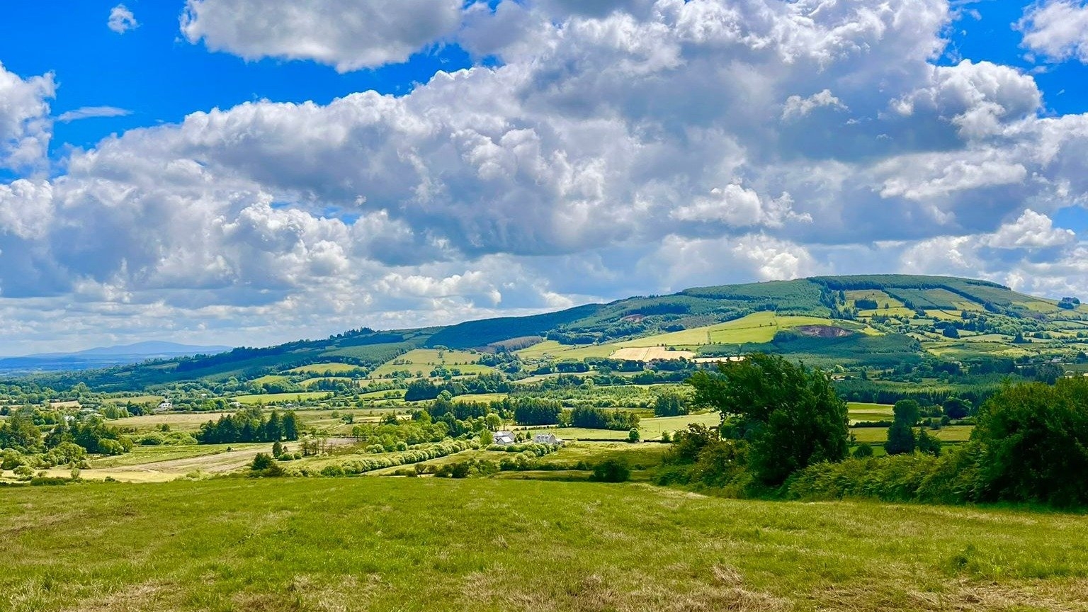 Page Banner