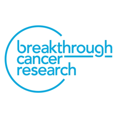 Page Logo